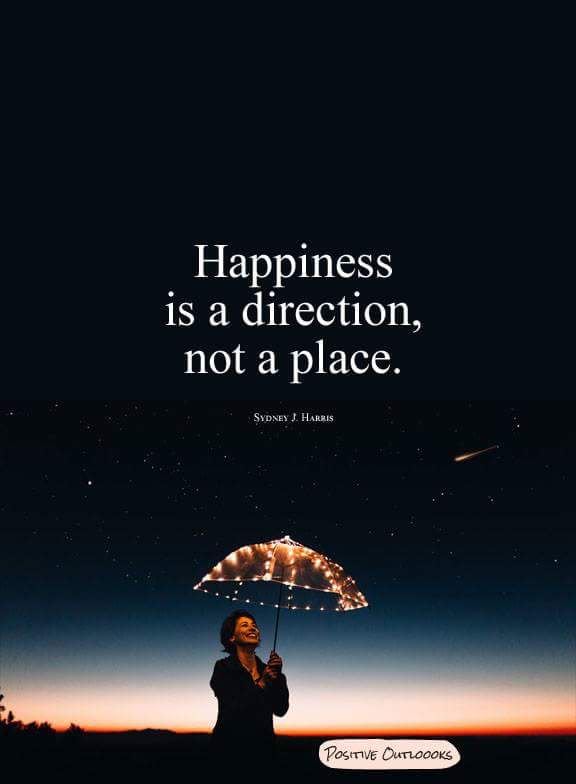 Happiness is a direction